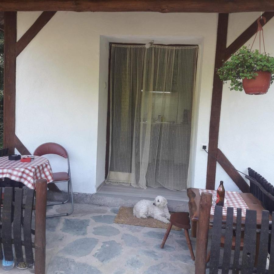 Sljivik Casa de hóspedes Ni Exterior foto